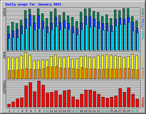 Daily usage for January 2021