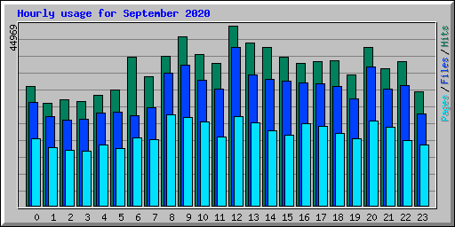 Hourly usage for September 2020