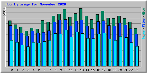 Hourly usage for November 2020