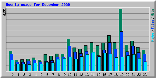 Hourly usage for December 2020