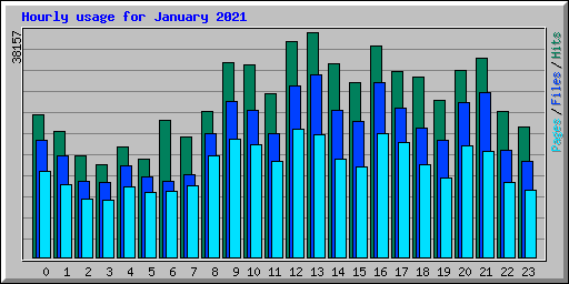 Hourly usage for January 2021