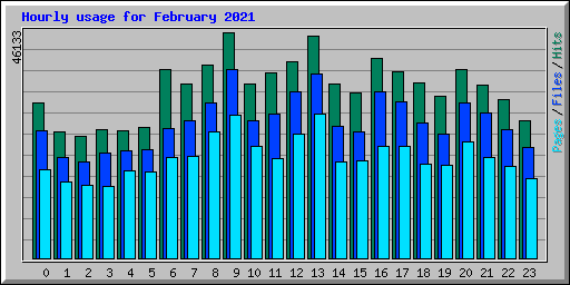Hourly usage for February 2021
