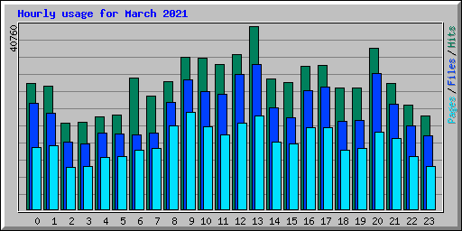 Hourly usage for March 2021