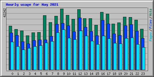 Hourly usage for May 2021