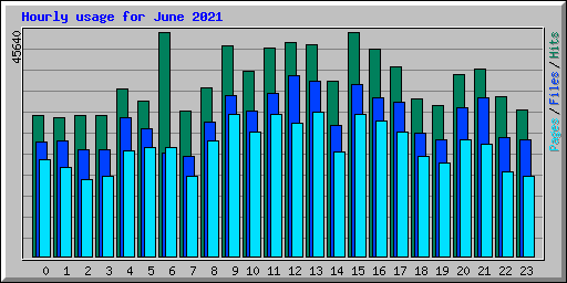 Hourly usage for June 2021