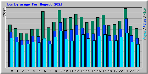 Hourly usage for August 2021